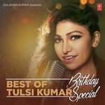 Best Of Tulsi Kumar - Birthday Special - B Praak Song Download